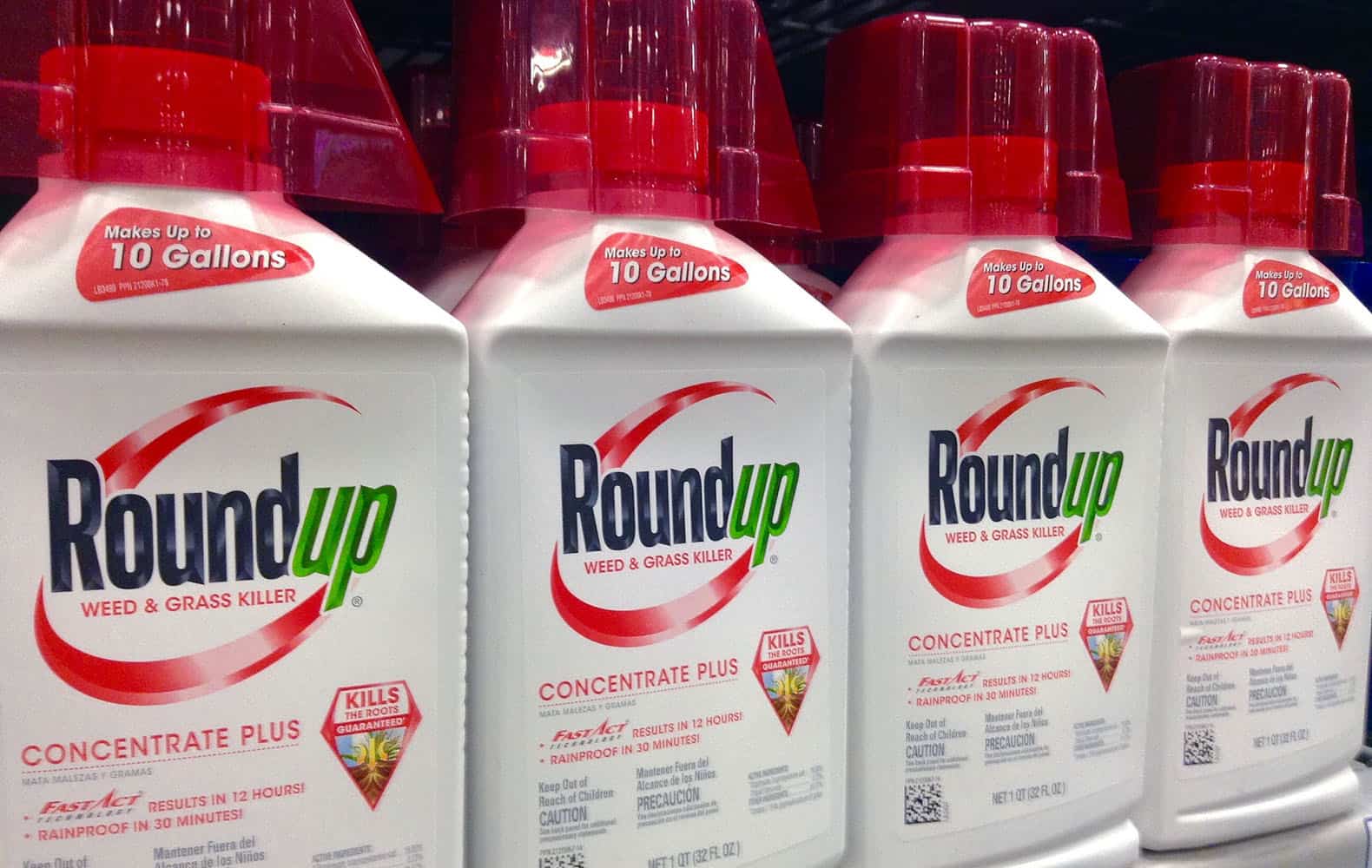 Glyphosate-Monsanto-Roundup.jpg