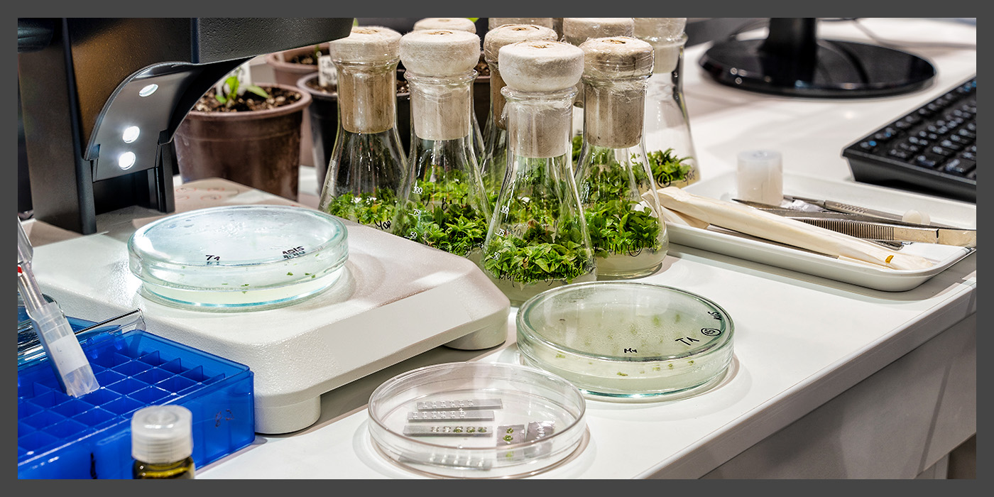USDA-2026-0133-0001%20Modified%20Organisms%20Subject%20to%20the%20Plant_.jpg