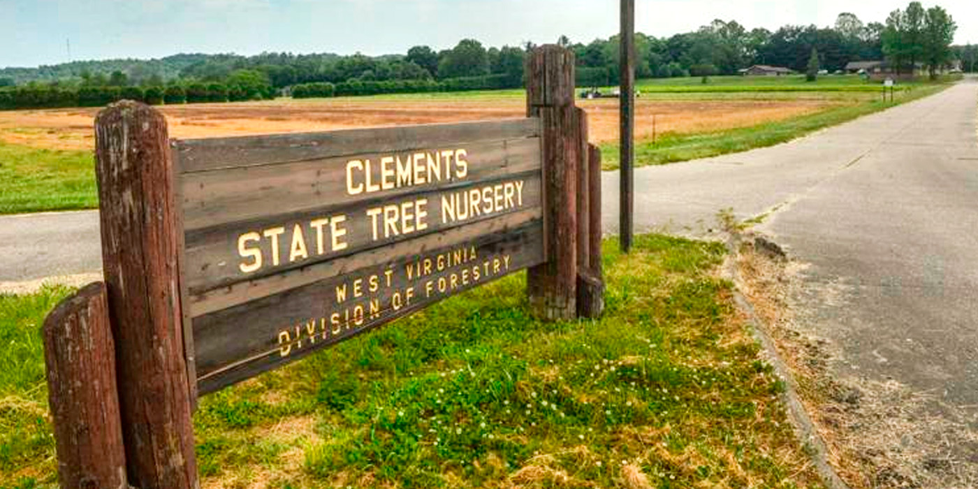 West%20Virginia%20American%20Chestnut%20Grove%20vs%20AI%20Data%20Center.jpg